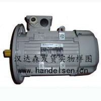 AC-Motoren感應(yīng)電機(jī)循環(huán)電機(jī)磁力電機(jī)高轉(zhuǎn)矩電機(jī)直銷