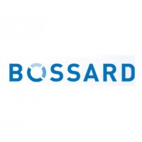 BOSSARD-螺釘/墊圈B3X6/BN28參數(shù)