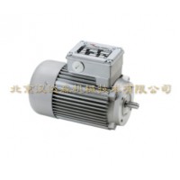 Mini motor 減速電機PAE260M2T