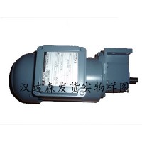 Danfoss Bauer BF系列主軸安裝式齒輪電動機