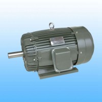 正品品質(zhì)DutchiT2A 132LB4-11三相標(biāo)準(zhǔn)電機(jī)