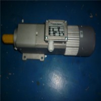 德國Mini motor 同軸電機 AC-72T 7.4 B3產品特點