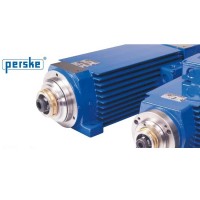 Perske KNS 51.14-2 D用于液壓夾頭系統(tǒng)的高精度電機(jī)