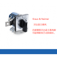 ?Kraus & Naimer開關(guān)C80-6.J-1541*05.ER-V