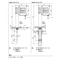 Gestra液位傳感器NRGT 26-2