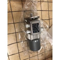 意大利Mini Motor蝸輪蝸桿減速電機 MC系列MC 320P2T 70 B5