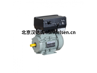 AC-Motoren IE2系列電機(jī)IE2AC06A2002附帶變頻器