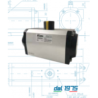 Evian 旋轉氣動執(zhí)行器，AISI 316氣動執(zhí)行機構
