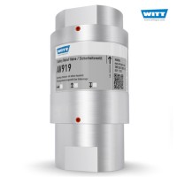 WITT 安全閥 SV 805-ES SMART技術特征簡介