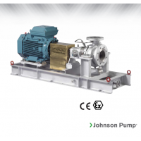 Johnson Pump 重型流程泵，適合化工/石化工業(yè)、煉油廠和一般工業(yè)應(yīng)用