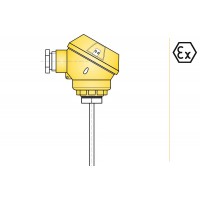 aplisens CTI4 CTI5潤(rùn)濕件材料304ss工藝連接M20x1.5溫度計(jì)