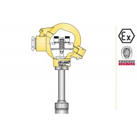 aplisens CTSW1 CTSW2潤(rùn)濕件材料15HM溫度計(jì)傳感器類(lèi)型ATEX認(rèn)證