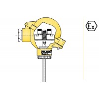 aplisens CT X溫度傳感器無附加保護管潤濕件材料鉑用316L