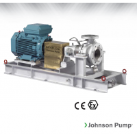 Johnson Pump 重型流程泵，適合化工、煉油廠(chǎng)和一般工業(yè)應(yīng)用